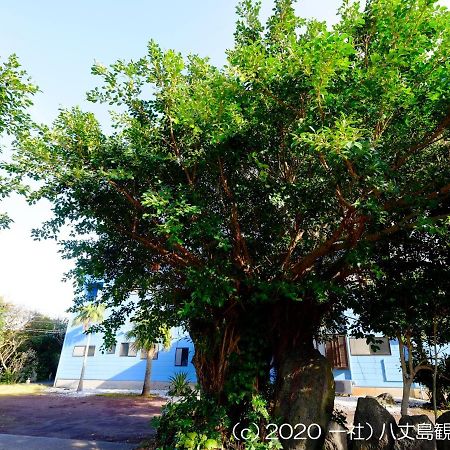 Kokumin Shukusha Sun Marina Hotell Hachijo Exteriör bild